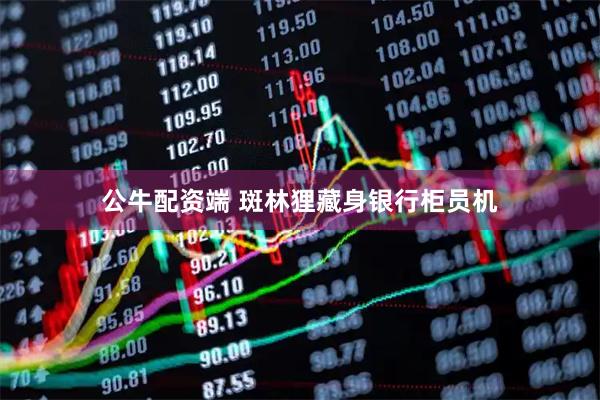 公牛配资端 斑林狸藏身银行柜员机