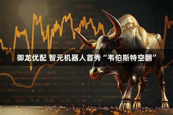 御龙优配 智元机器人首秀“韦伯斯特空翻”