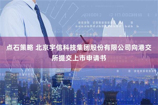 点石策略 北京宇信科技集团股份有限公司向港交所提交上市申请书