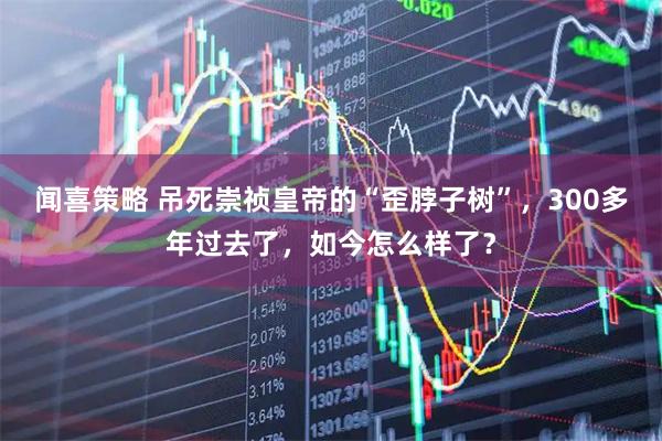 闻喜策略 吊死崇祯皇帝的“歪脖子树”，300多年过去了，如今怎么样了？