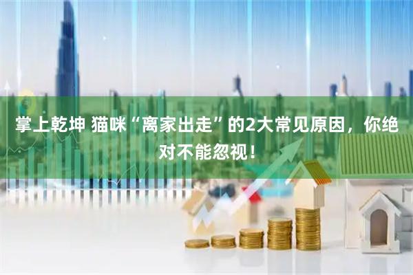 掌上乾坤 猫咪“离家出走”的2大常见原因,你绝对不能忽视!