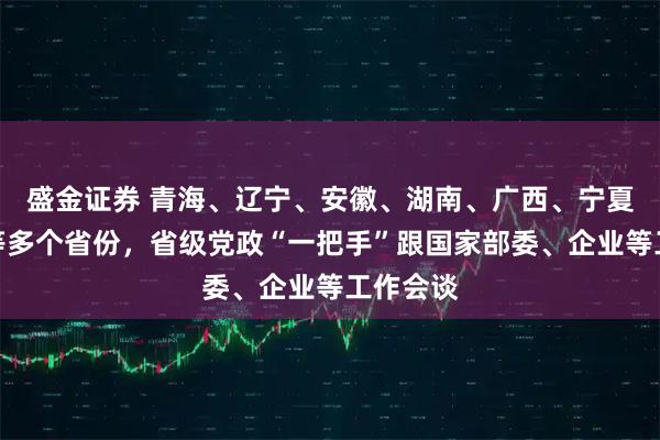 盛金证券 青海、辽宁、安徽、湖南、广西、宁夏、海南等多个省份，省级党政“一把手”跟国家部委、企业等工作会谈