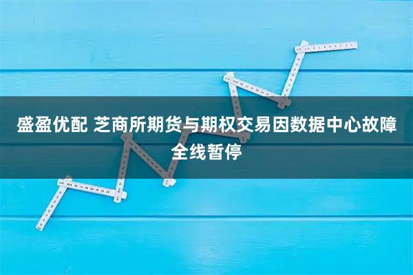 盛盈优配 芝商所期货与期权交易因数据中心故障全线暂停