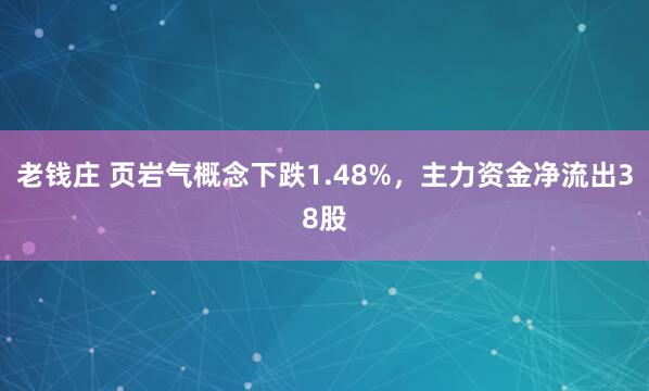 老钱庄 页岩气概念下跌1.48%，主力资金净流出38股