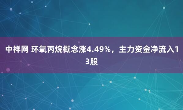 中祥网 环氧丙烷概念涨4.49%，主力资金净流入13股